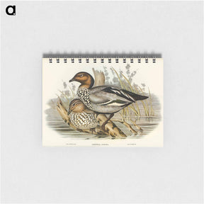 アートメモ帳-Maned Goose
 - ジョン グールド Memo.