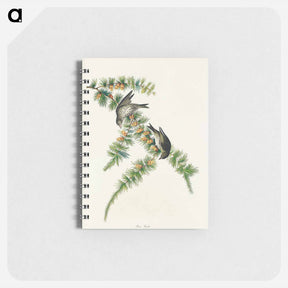 アートメモ帳-Pine Finch
 - ジョン ジェームス オーデュボン Memo.