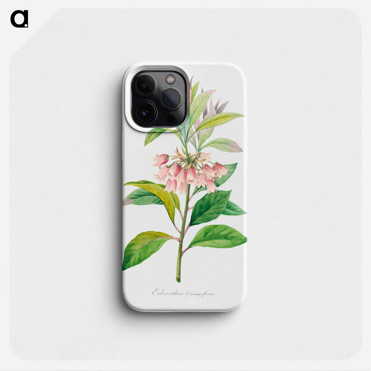 Redvein enkianthus - Pierre Joseph Redouté Phone Case.