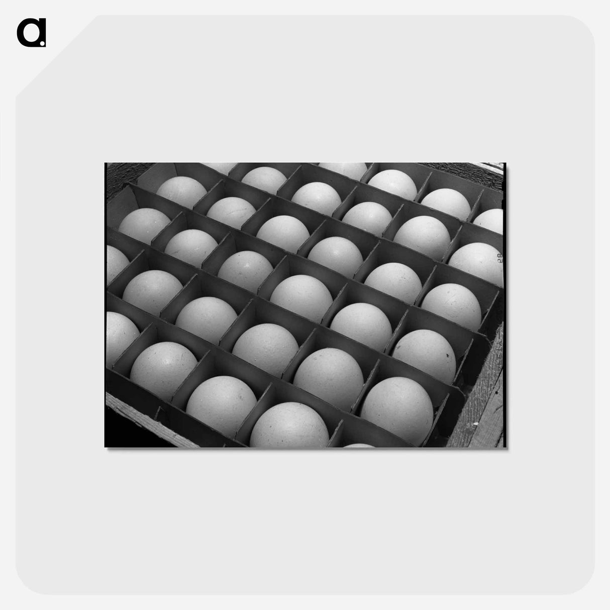 アートポストカード-Eggs
 - ラッセル リー Postcard.