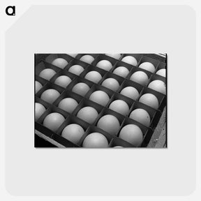 アートポストカード-Eggs
 - ラッセル リー Postcard.