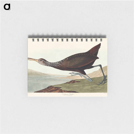 アートメモ帳-Scolopaceus Courlan from Birds of America
 - アメリカの鳥たち Memo.
