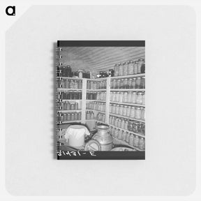 アートメモ帳-Untitled photo - ドロテア ラング Memo.