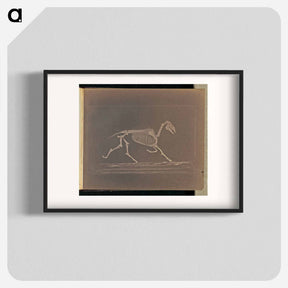 アートポスター-Trotting
 - エドワード マイブリッジ Poster.