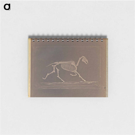 アートメモ帳-Trotting
 - エドワード マイブリッジ Memo.