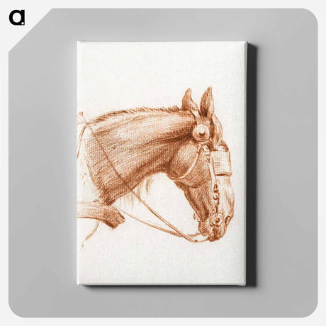 アートパネル-Head of a horse with blinkers - ジャン ベルナール Canvas.