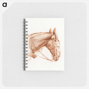 アートメモ帳-Head of a horse with blinkers - ジャン ベルナール Memo.