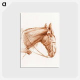 アートポストカード-Head of a horse with blinkers - ジャン ベルナール Postcard.