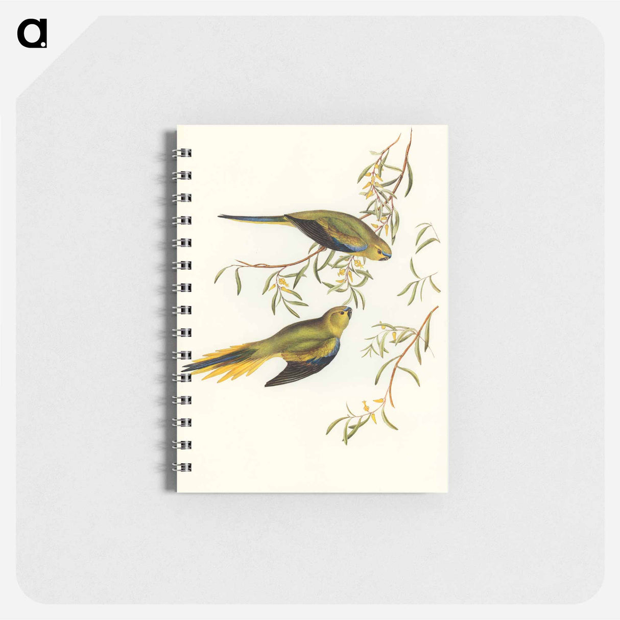 アートメモ帳-Elegant Grass-Parakeet
 - オーストラリアの鳥 Memo.