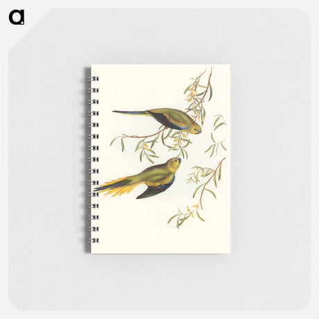 アートメモ帳-Elegant Grass-Parakeet
 - オーストラリアの鳥 Memo.