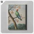 アートパネル-Bird Study
 - クリーブランド美術館 Canvas.