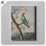 アートパネル-Bird Study
 - クリーブランド美術館 Canvas.