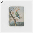アートメモ帳-Bird Study
 - クリーブランド美術館 Memo.