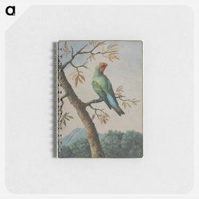 アートメモ帳-Bird Study
 - クリーブランド美術館 Memo.