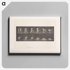 アートパネル-Wrestling Figures
 - エドワード マイブリッジ Canvas.