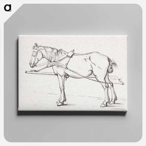 アートパネル-Standing harnessed horse - ジャン ベルナール Canvas.