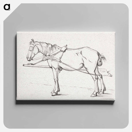 アートパネル-Standing harnessed horse - ジャン ベルナール Canvas.