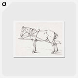 アートポストカード-Standing harnessed horse - ジャン ベルナール Postcard.