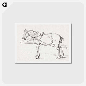 アートポストカード-Standing harnessed horse - ジャン ベルナール Postcard.