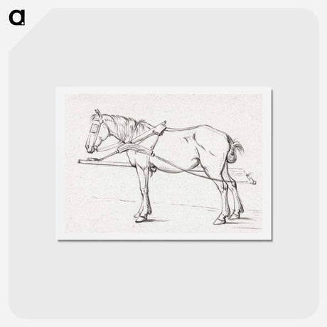 アートポストカード-Standing harnessed horse - ジャン ベルナール Postcard.