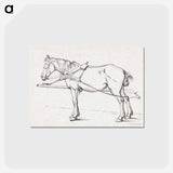 アートポストカード-Standing harnessed horse - ジャン ベルナール Postcard.