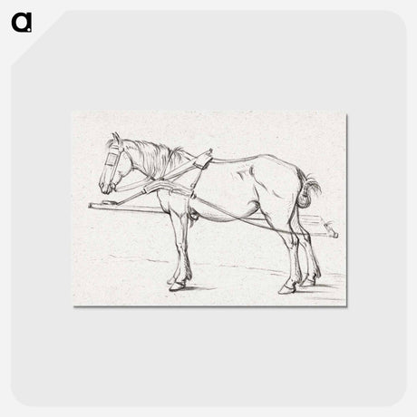 アートポストカード-Standing harnessed horse - ジャン ベルナール Postcard.