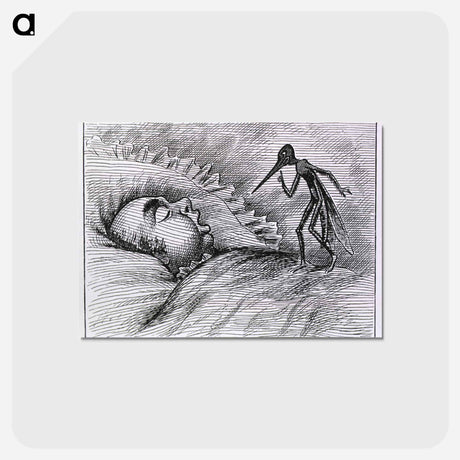 アートポストカード-Insects- Injurious & Beneficial: Mosquitoes
 - 国立医学図書館 Postcard.