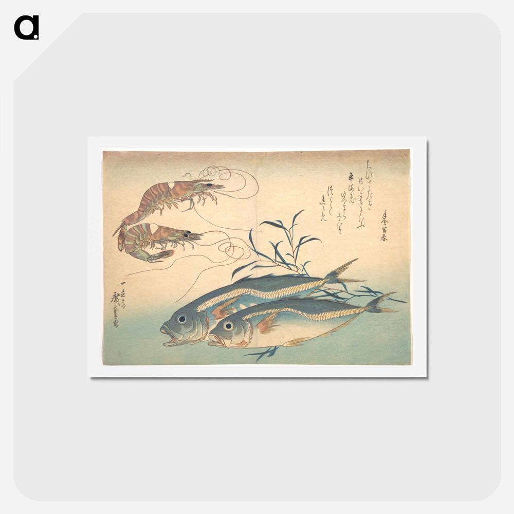 アートポストカード-Aji Fish and Kuruma-ebi, from the series Uozukushi (Every Variety of Fish)
 - 歌川 広重 Postcard.