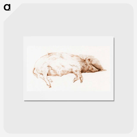 アートポストカード-Lying pig - ジャン ベルナール Postcard.