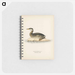 アートメモ帳-Red-Necked Grebe
 - スヴェンスカ フォグラル Memo.