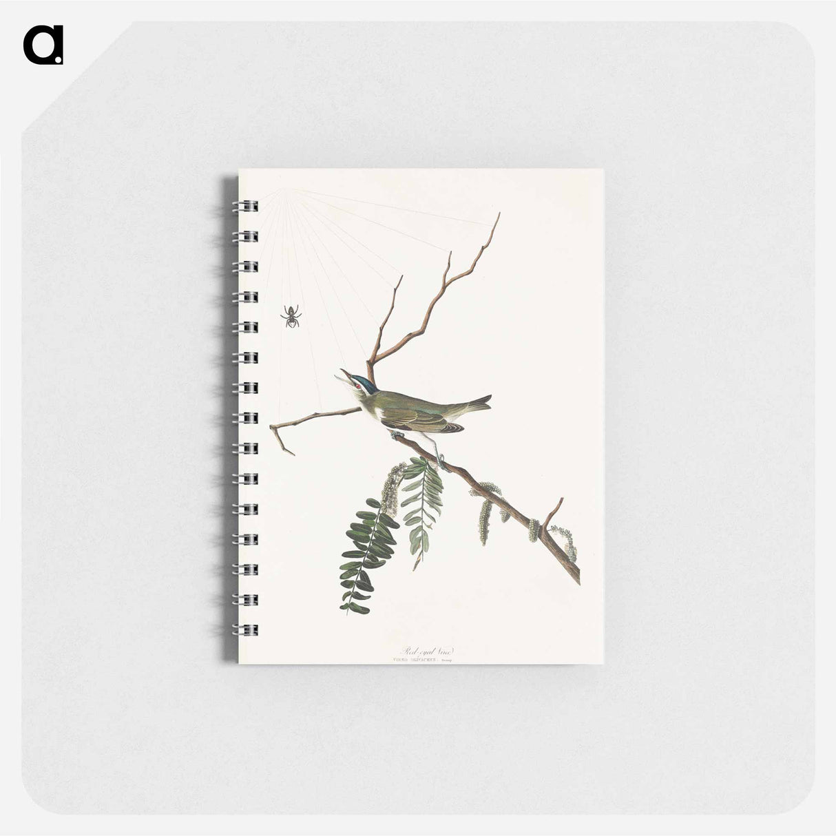 アートメモ帳-Red-eyed Vireo from Birds of America
 - アメリカの鳥たち Memo.