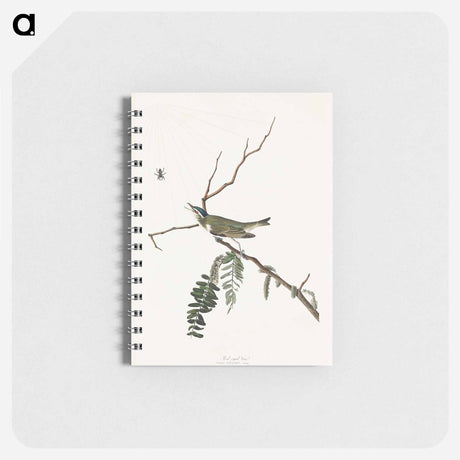 アートメモ帳-Red-eyed Vireo from Birds of America
 - アメリカの鳥たち Memo.