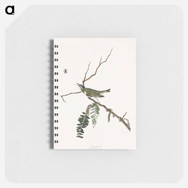 アートメモ帳-Red-eyed Vireo from Birds of America
 - アメリカの鳥たち Memo.