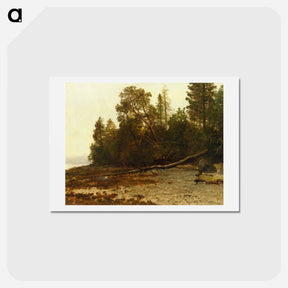 アートポストカード-The Fallen Tree - アルバート ビアスタット Postcard.