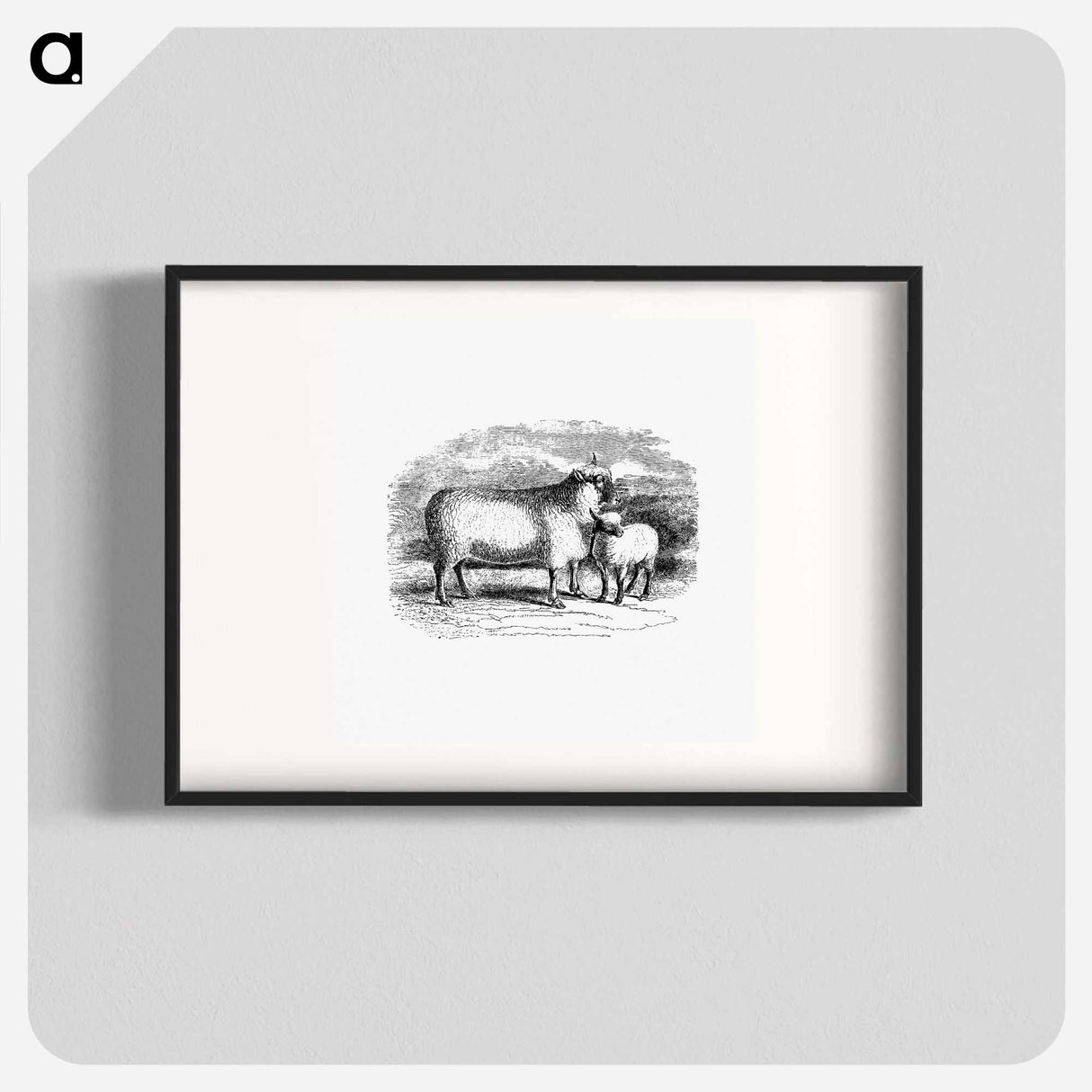 アートポスター-Sheep from On the Domesticated Animals of the British Islands
 - 大英図書館 Poster.