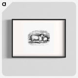 アートポスター-Sheep from On the Domesticated Animals of the British Islands
 - 大英図書館 Poster.
