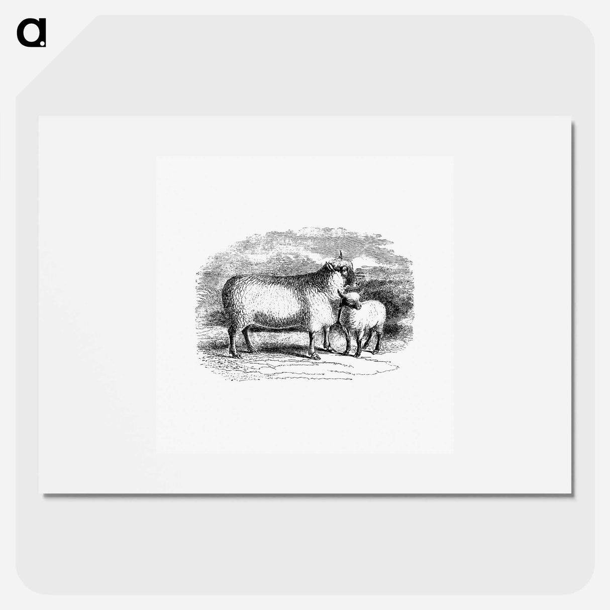 アートポスター-Sheep from On the Domesticated Animals of the British Islands
 - 大英図書館 Poster.
