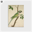 アートポストカード-Cleveland Museum of Art
 - クリーブランド美術館 Postcard.