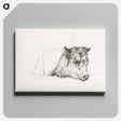 アートパネル-Head of a cow - ジャン ベルナール Canvas.