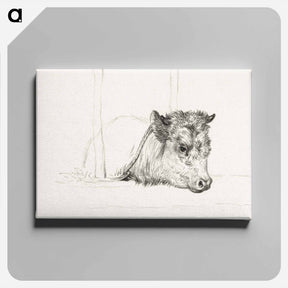 アートパネル-Head of a cow - ジャン ベルナール Canvas.
