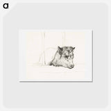 アートポストカード-Head of a cow - ジャン ベルナール Postcard.