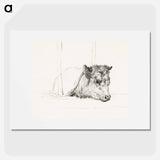Head of a cow - ジャン ベルナール Poster.