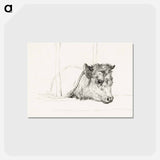 アートポストカード-Head of a cow - ジャン ベルナール Postcard.