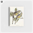 アートメモ帳-Great Wattled Honey-eater
 - オーストラリアの鳥 Memo.