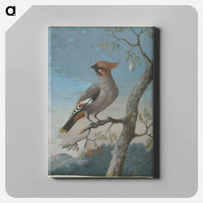アートパネル-Bird Study
 - クリーブランド美術館 Canvas.