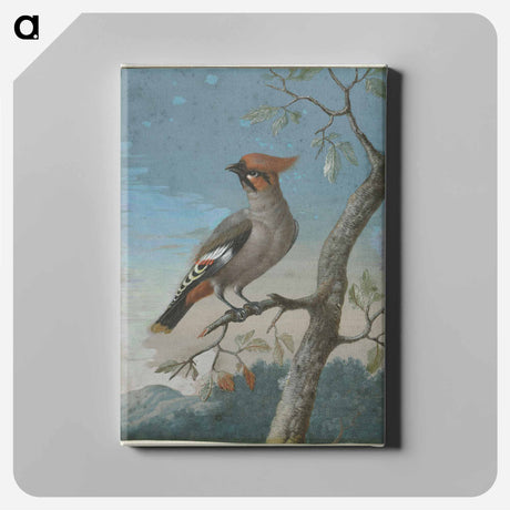 アートパネル-Bird Study
 - クリーブランド美術館 Canvas.