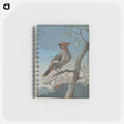 アートメモ帳-Bird Study
 - クリーブランド美術館 Memo.