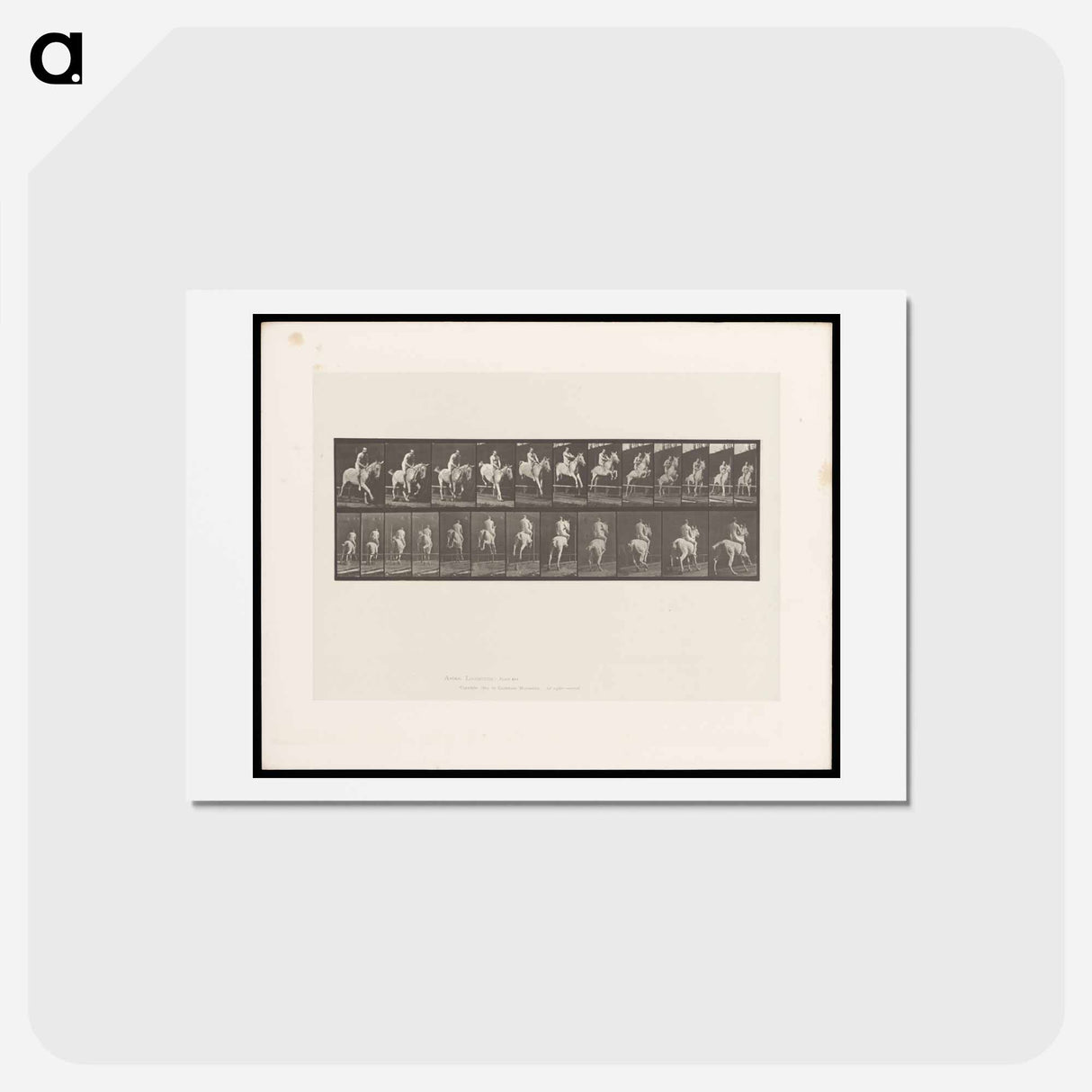 アートポストカード-Naked Horseman
 - エドワード マイブリッジ Postcard.