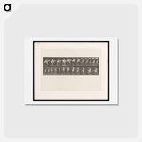 アートポストカード-Naked Horseman
 - エドワード マイブリッジ Postcard.