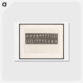 アートポストカード-Naked Horseman
 - エドワード マイブリッジ Postcard.